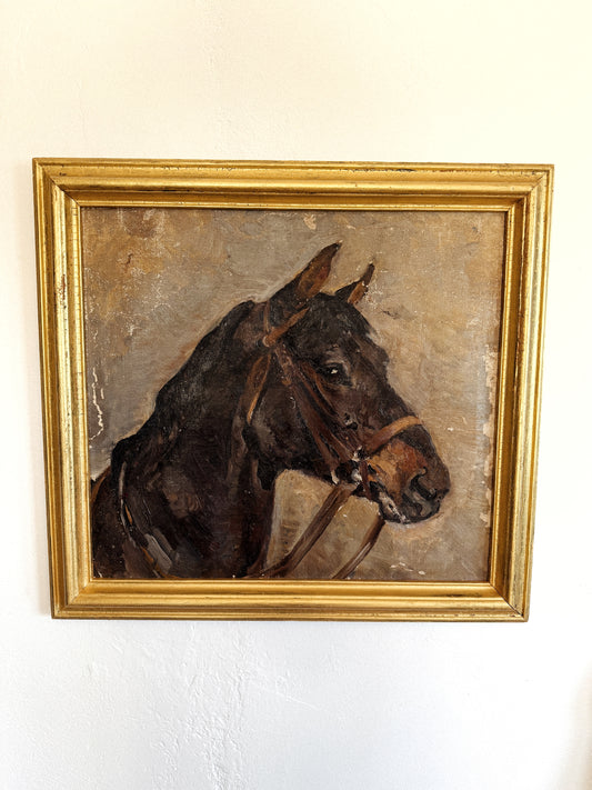 1930s Horse Portrait Oil Painting- 21x22”