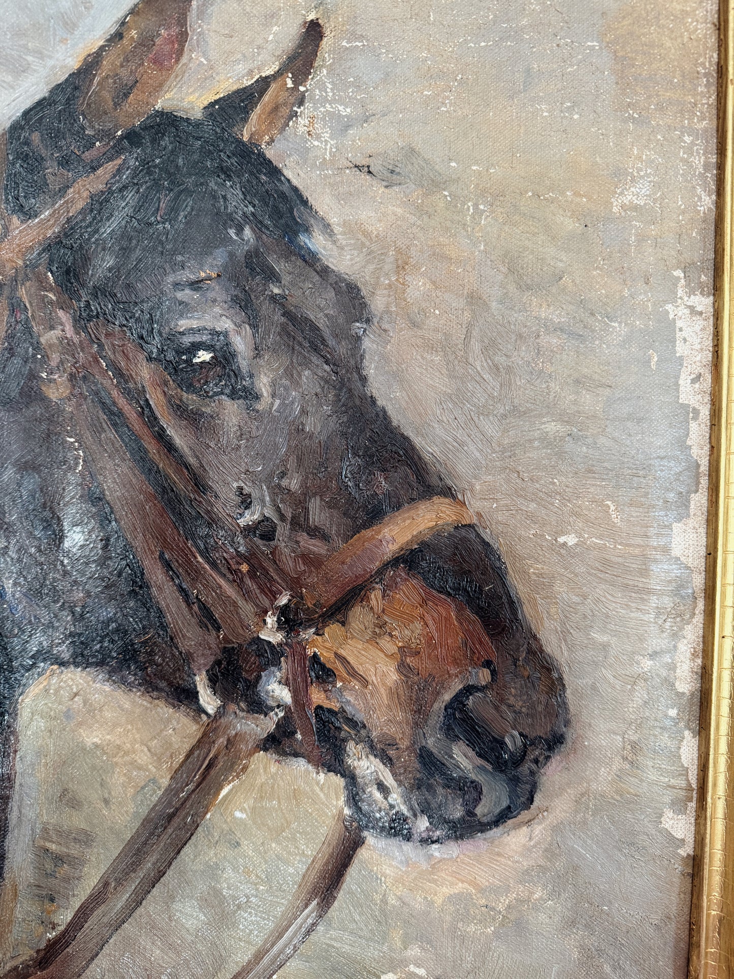 1930s Horse Portrait Oil Painting- 21x22”