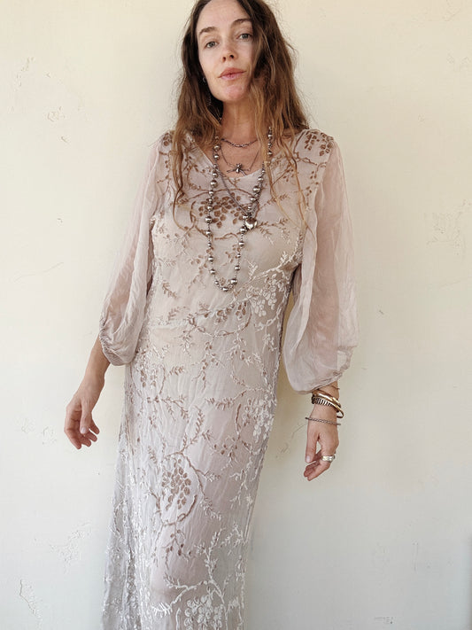 1920s Champagne Grape Silk Chiffon Devoré Velvet Goddess Gown- S/M-M