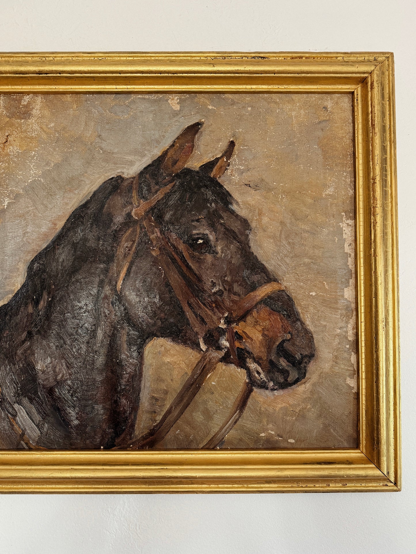 1930s Horse Portrait Oil Painting- 21x22”