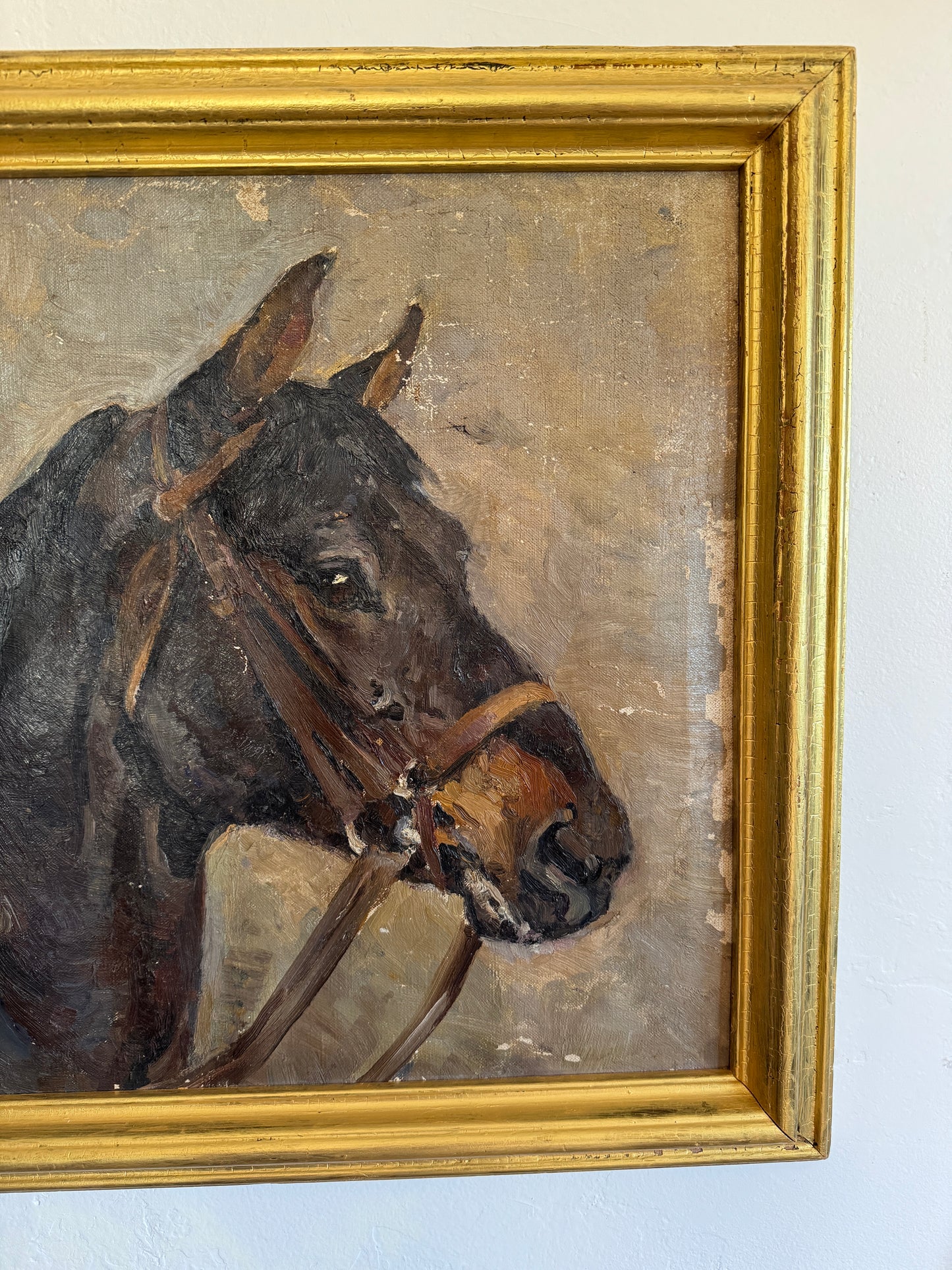 1930s Horse Portrait Oil Painting- 21x22”