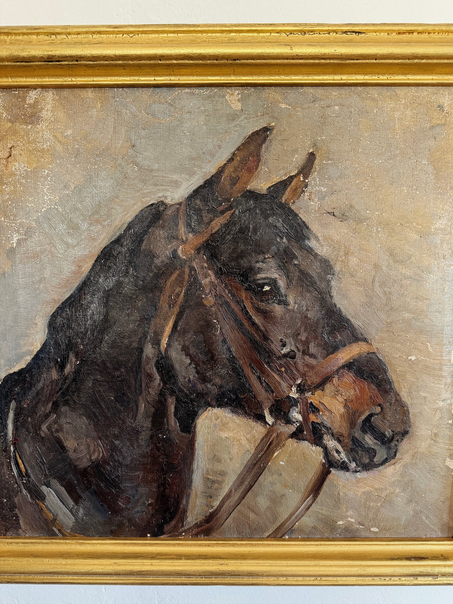 1930s Horse Portrait Oil Painting- 21x22”