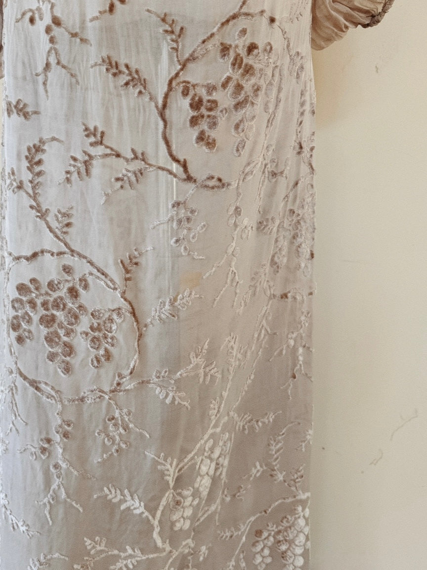 1920s Champagne Grape Silk Chiffon Devoré Velvet Goddess Gown- S/M-M