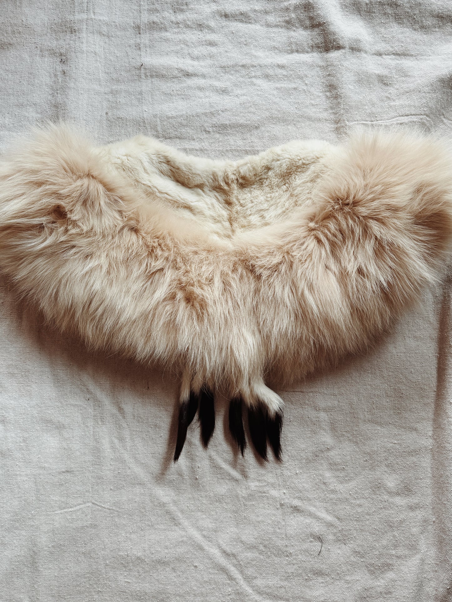 1930s Sumptuous Ermine Fur + Silk Velvet Collar w/ Bon Bon Closure