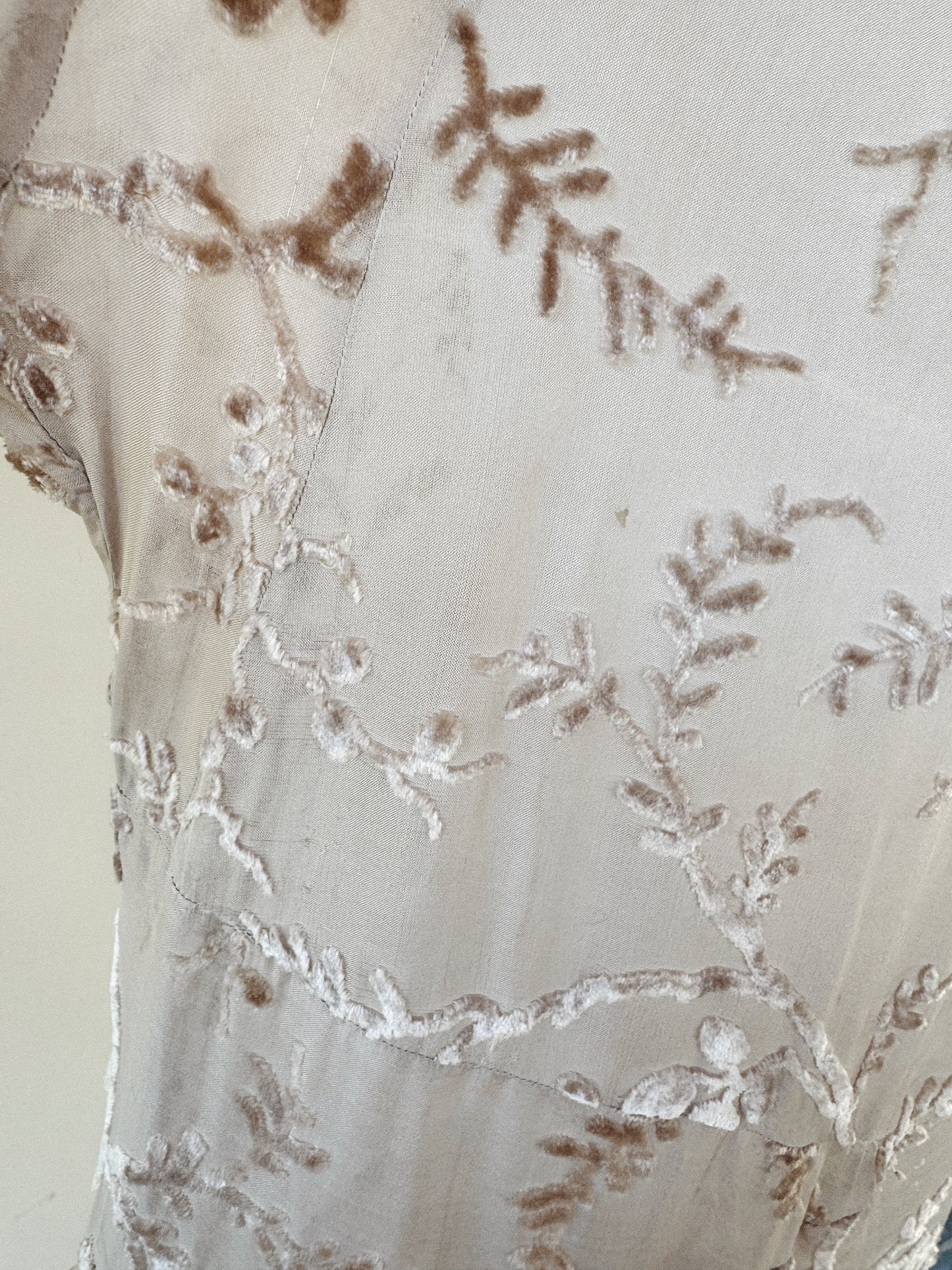 1920s Champagne Grape Silk Chiffon Devoré Velvet Goddess Gown- S/M-M