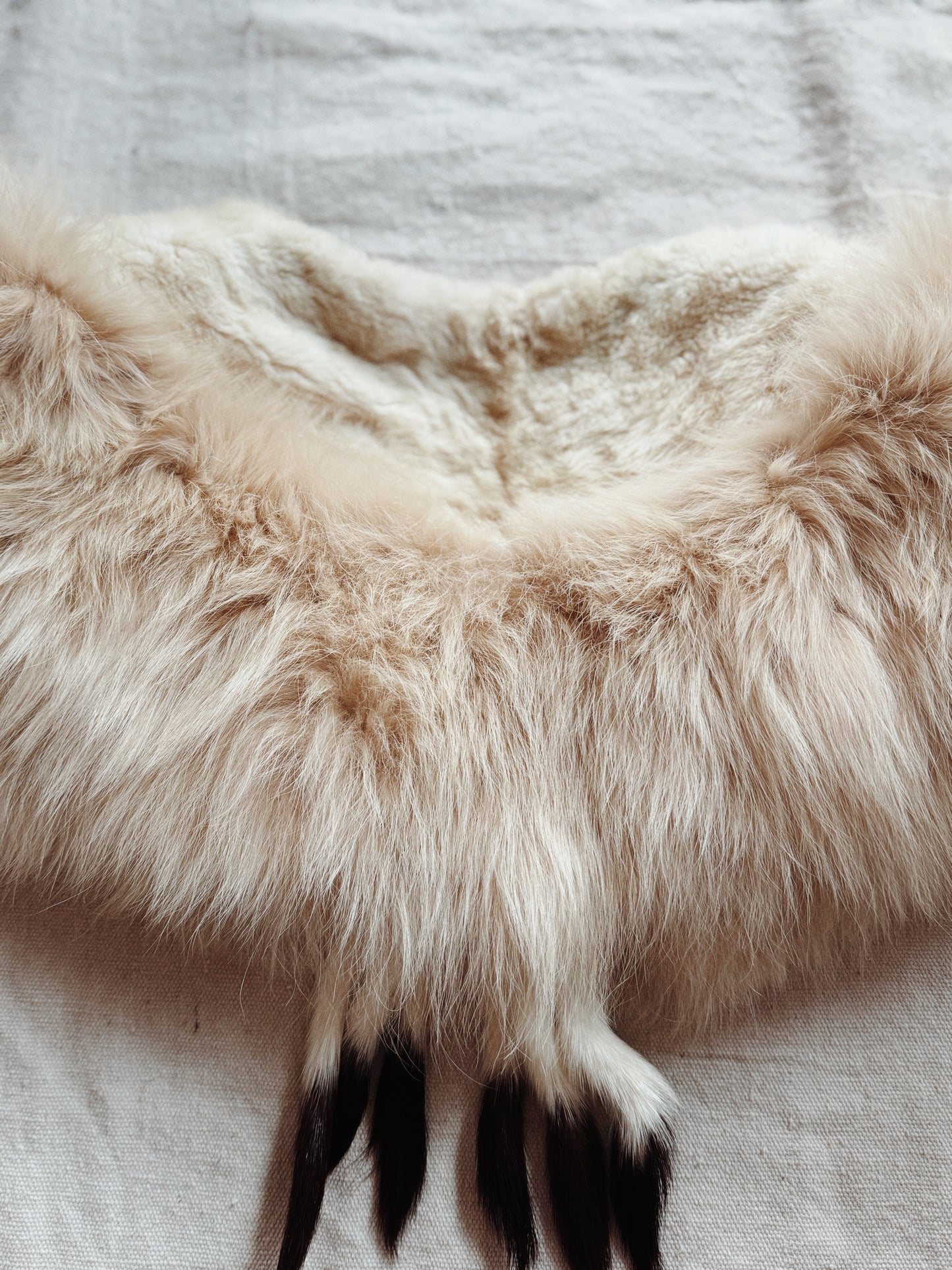 1930s Sumptuous Ermine Fur + Silk Velvet Collar w/ Bon Bon Closure