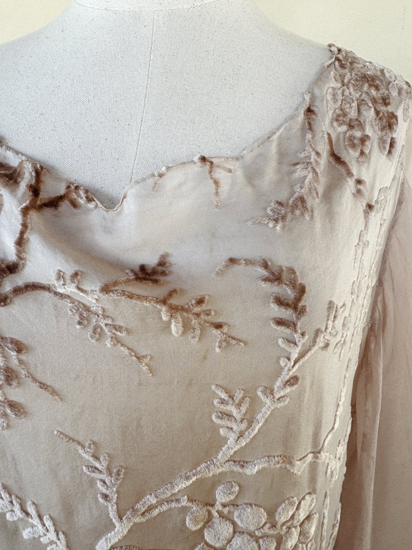 1920s Champagne Grape Silk Chiffon Devoré Velvet Goddess Gown- S/M-M
