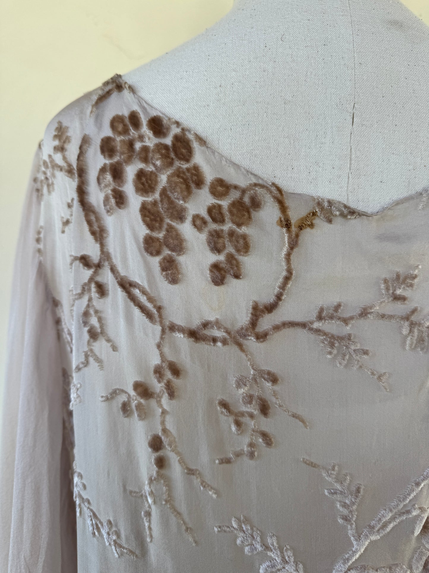 1920s Champagne Grape Silk Chiffon Devoré Velvet Goddess Gown- S/M-M