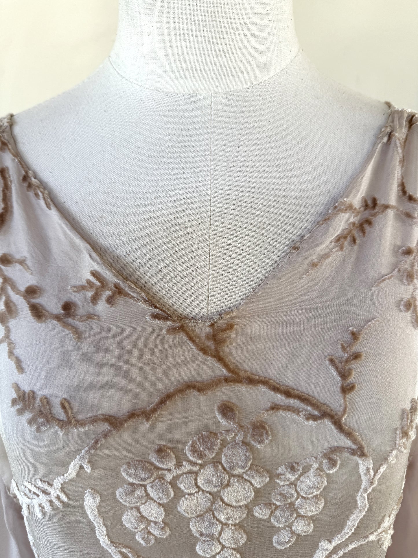 1920s Champagne Grape Silk Chiffon Devoré Velvet Goddess Gown- S/M-M