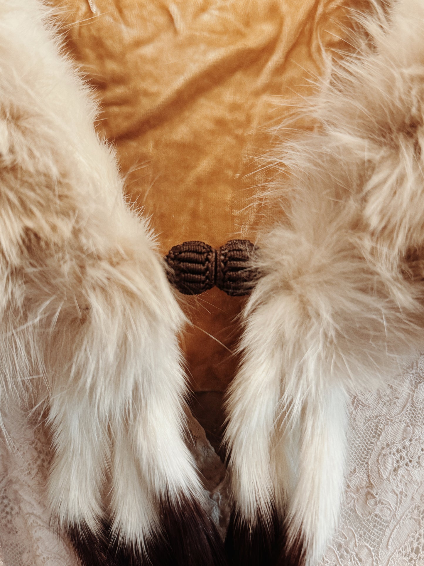1930s Sumptuous Ermine Fur + Silk Velvet Collar w/ Bon Bon Closure