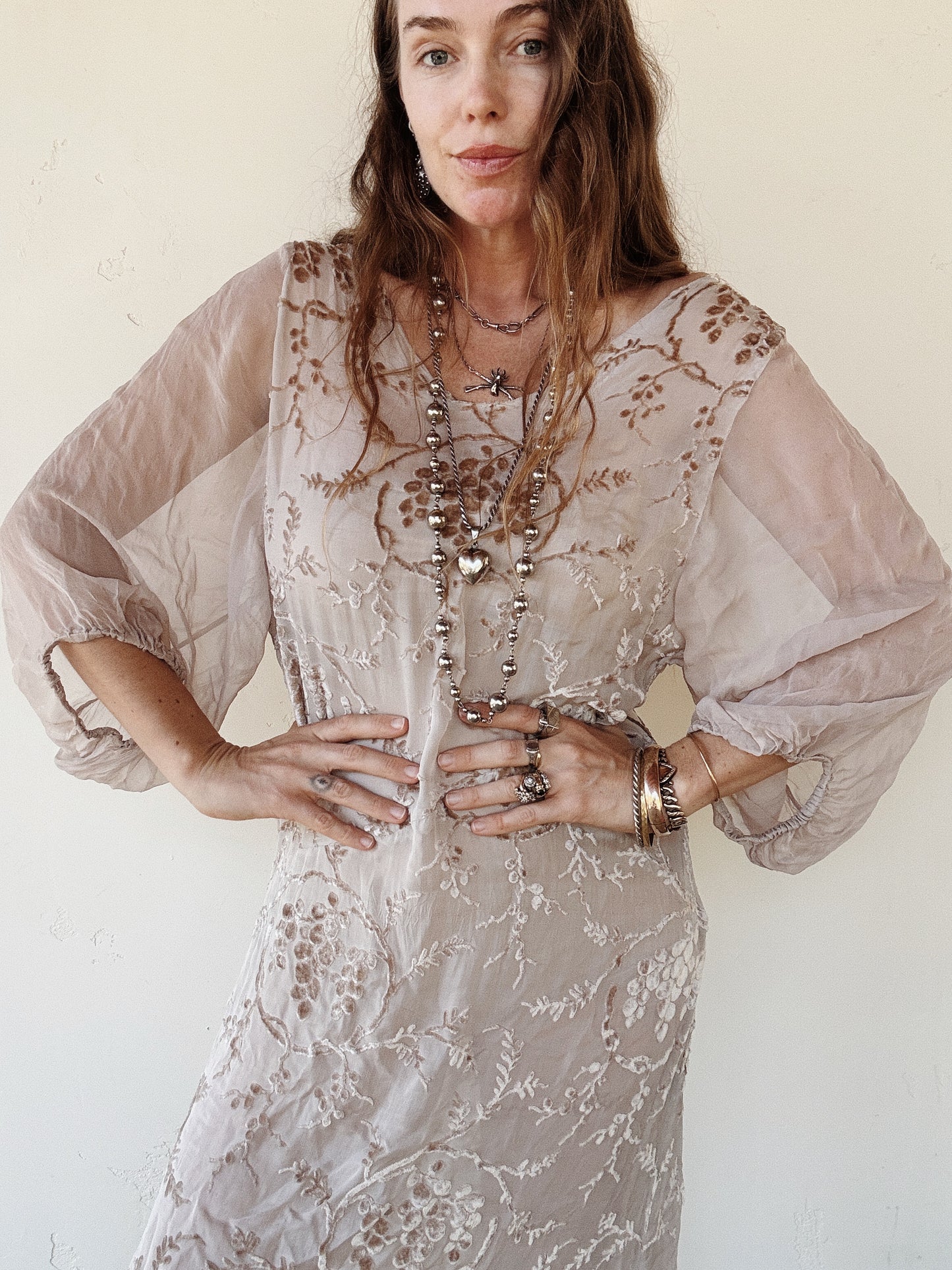 1920s Champagne Grape Silk Chiffon Devoré Velvet Goddess Gown- S/M-M