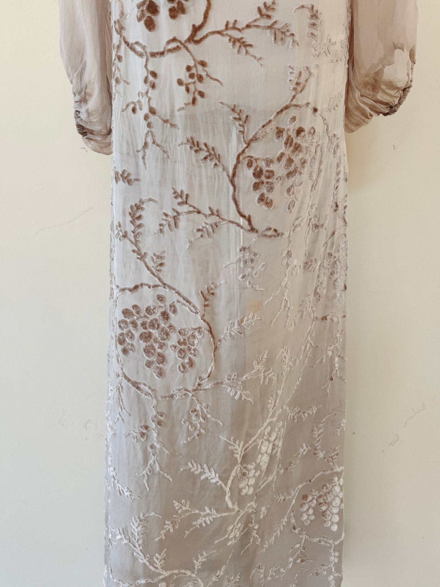 1920s Champagne Grape Silk Chiffon Devoré Velvet Goddess Gown- S/M-M