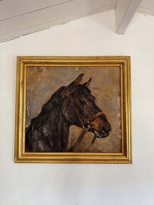 1930s Horse Portrait Oil Painting- 21x22”